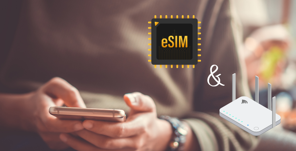 AirdyのeSIMとポケットWiFiの併用もおすすめ